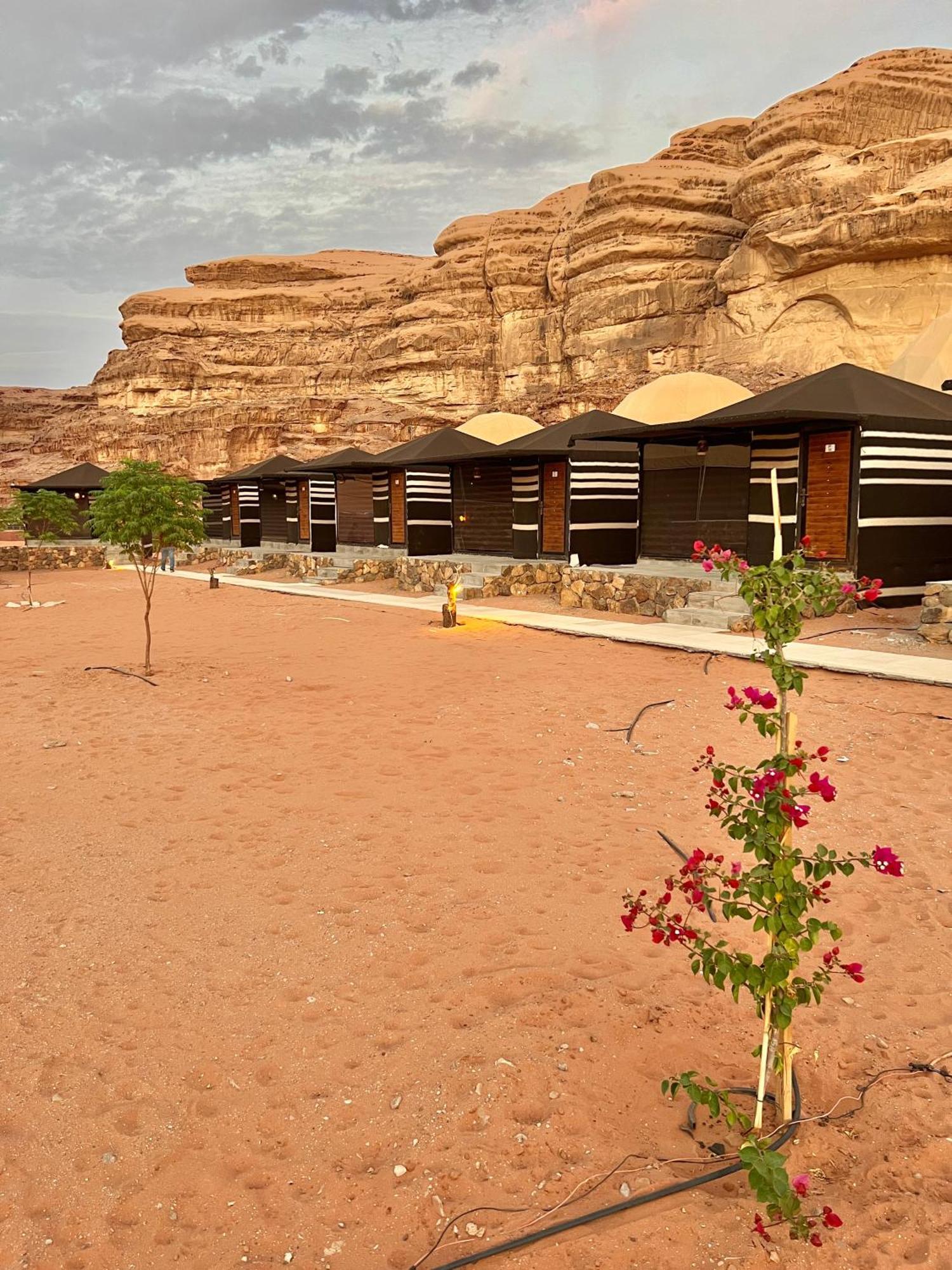 Revan Rum Luxury Camp Ουάντι Ραμ Εξωτερικό φωτογραφία